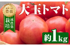 【先行予約】大玉トマト 約 1kg トマト 大玉 濃厚 甘い 美味しい 高糖度 完熟 tomato とまと やさい 自然 安心安全 旬 送料無料 愛知県 豊橋市