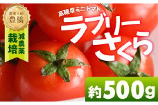 【先行予約】あま～い！ミニトマト 約 500g トマト ミニトマト 濃厚 甘い 美味しい 高糖度 完熟 tomato とまと やさい 自然 安心安全 旬 送料無料 愛知県 豊橋市
