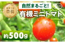 【先行予約】有機栽培ミニトマト 約 500g 有機栽培 有機 トマト ミニトマト 濃厚 甘い 美味しい 高糖度 完熟 tomato とまと やさい 自然 安心安全 旬 オーガニック 送料無料 愛知県 豊橋市
