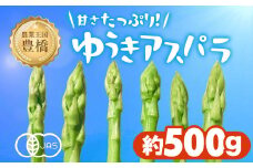 有機栽培アスパラガス 約 500g 有機栽培 有機 アスパラ グリーンアスパラ やさい 自然 安心安全 旬 オーガニック 送料無料 愛知県 豊橋市