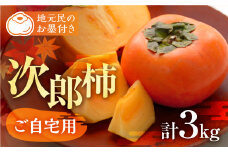 ≪先行予約≫ 生産量日本一 豊橋石巻産 次郎柿 ご自宅用 3kg 柿 訳あり 甘柿 果物 フルーツ 10月 11月 愛知県 豊橋市 ビタミンC 腸活