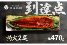 ふっくら肉厚！国産うなぎ 蒲焼 特大 2尾 老舗 国産うなぎ セット 詰め合わせ 蒲焼 ウナギ うなぎ unagi 鰻