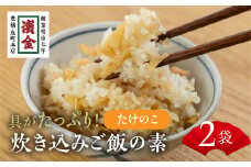 濱金商店 炊込みご飯の素 『筍』2袋 2合用