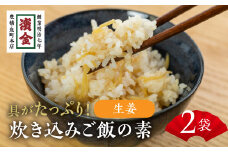 濱金商店 炊込みご飯の素 『生姜』2袋 2合用