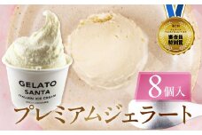 ジェラートマエストロコンテスト受賞＆プレミアムジェラート　8個入