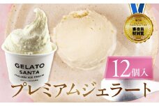 ジェラートマエストロコンテスト受賞＆プレミアムジェラート　12個入