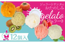店長おすすめジェラート　12個入