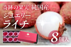 ≪先行予約≫超希少！愛知県産 生ライチ 8個入り
