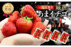 ≪先行予約≫ 厳選 あまイチゴ 約1kg パックいちご いちご イチゴ 苺 甘い 高糖度 糖度 フルーツ 果物 旬 旬の果物 旬のフルーツ おやつ ビタミン いちご狩り イチゴジャム 紅ほっぺ または あきひめ 愛知県 豊橋市 1万円 10000
