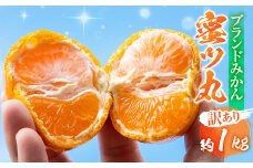 ≪先行予約≫こだわり蜜柑 蜜ツ丸 家庭用 バラ詰め 約1kg+痛み補償250g マルカワ園芸 みかん こだわりみかん おみかん屋 ミカン mikan 蜜柑 