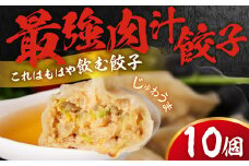 とよはし お試しサイズ『最強肉汁餃子』10個入り 簡易包装