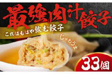 とよはし 訳あり『最強肉汁餃子』33個　簡易包装（ご家庭用）