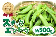 ≪先行予約≫スナックエンドウ 約500g エンドウ スナップエンドウ サラダ 野菜 料理 夕飯 おかず 栄養バランス シャキシャキ 高糖度 糖度 旬 旬の野菜 健康 愛知県 豊橋市 1万円 10000円