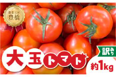 訳ありトマト 約1kg とまと トマト tomato 野菜 甘み サンドイッチ サラダ 訳あり 訳アリ わけあり ワケアリ 規格外 旬 旬の野菜 健康 愛知県 豊橋市