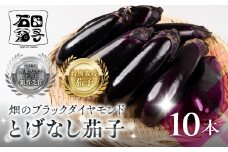 ≪先行予約≫とげなし茄子 10本  ナス 茄子 なす なすび 野菜 旬 旬の野菜 糖度 石田茄子 トゲなし　とげなし お取り寄せ 健康 夕飯 おかず 愛知県 豊橋市 