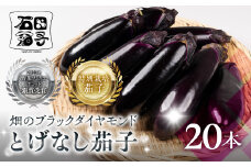 ≪先行予約≫とげなし茄子 20本  ナス 茄子 なす なすび 野菜 旬 旬の野菜 糖度 石田茄子 トゲなし　とげなし お取り寄せ 健康 夕飯 おかず 愛知県 豊橋市 