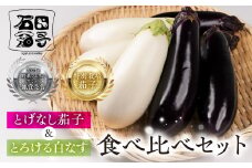 ≪先行予約≫こだわり茄子 食べ比べ≪とげなし茄子×白茄子≫ ナス 茄子 なす なすび 白なす しろなす 白ナス 白茄子 野菜 旬 旬の野菜 糖度 石田茄子 トゲなし とげなし セット 食べ比べセット お取り寄せ 健康 夕飯 おかず 愛知県 豊橋市 5千円 5000円