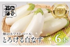 ≪先行予約≫白茄子 6本 ナス 茄子 なす なすび 白なす しろなす 白ナス 白茄子 野菜 旬 旬の野菜 糖度 石田茄子 お取り寄せ 健康 夕飯 おかず 愛知県 豊橋市 