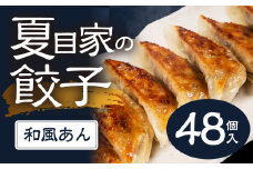 夏目家の和風あん餃子  〈3パック（計48個入）〉和風あん餃子 夏目家 餃子 訳あり セット 定期便 惣菜 ぎょうざ 愛知県 豊橋市