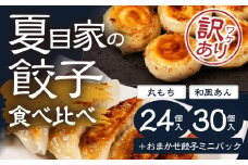 夏目家の丸もち餃子 24個　和風あん餃子 30個 ＋おまけ 丸もち餃子 和風あん餃子 食べ比べセット 夏目家 餃子 訳あり 食べ比べ セット 定期便 惣菜 ぎょうざ 愛知県 豊橋市