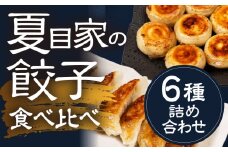 夏目家の餃子 夏目家コンプリートBOX（6種の餃子詰め合わせ）丸もち餃子 和風あん餃子 チーズ丸もち餃子 ピリ辛丸もち餃子 松坂牛肉汁餃子 チーズ餃子 夏目家 餃子 訳あり セット 定期便 惣菜 ぎょうざ 愛知県 豊橋市