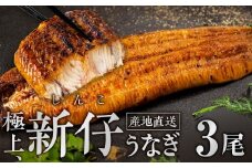 ≪先行予約！ 発送は7月28日～≫ 希少 極上 豊橋うなぎ 蒲焼 厳選 国産 新仔うなぎ 若うなぎ 鰻 簡易包装 ウナギ うなぎ 鰻 蒲焼 山義養魚 ギフト 配布 最高級 ひつまぶし 土用丑の日 ギフト 冷凍 増量 丑の日 簡単調理 豊橋うなぎ お取り寄せ 送料無料