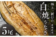 ≪先行予約！ 発送は7月28日以降≫ 極上 豊橋うなぎ 山義養魚の『うなぎ日和』白焼 希少 厳選 国産 新仔うなぎ 若うなぎ 鰻 簡易包装 ウナギ 鰻 ギフト 配布 最高級 土用丑の日 ギフト 冷凍 お取り寄せ 送料無料 日本酒と わさび 山椒 塩 大人 贅沢