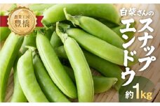 ≪先行予約≫スナップエンドウ 約1kg 産地直送 スナップ スナックエンドウ エンドウ 豆 サラダ 美味しい 料理 野菜 健康 栄養 簡単 農家直送 1キロ 高糖度 糖度 1万円 10000円 愛知県 豊橋市