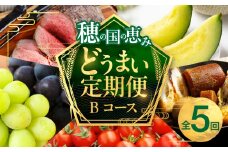 穂の国の恵み どうまい 定期便 Bコース /トマト ローストビーフ マスクメロン メロン シャインマスカット 巨峰 おでん セット フルーツ 果物 定期便 豊橋の定期便 定期