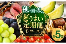 穂の国の恵み どうまい 定期便 Bコース /トマト ローストビーフ マスクメロン メロン シャインマスカット 巨峰 おでん セット フルーツ 果物 定期便 豊橋の定期便 定期