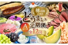 【肉コース】穂の国の恵み どうまい 定期便 全12回 Aコース 肉 ( 和牛 和牛ユッケ ローストビーフ 餃子 むき えび うなぎ おでん 鴨鍋 かも鍋 うなぎ メロン ジェラート フローズンヨーグルト ) ご当地 人気 名産品 頒布会 豊橋