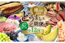 【農産物コース】穂の国の恵み どうまい 定期便 全12回 Cコース 農産物 ( 餃子 むき えび うなぎ おでん 鴨鍋 かも鍋 トマト とうもろこし シャインマスカット 巨峰 ぶどう メロン ジェラート フローズンヨーグルト ) ご当地 人気 名産品 頒布会 豊橋