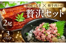 国産うなぎ & 牛肉トロ セット うなぎ 肉トロ 訳あり 蒲焼 2尾 牛トロ 3パック ウナギ 鰻 蒲焼き 土用丑の日 丑の日 簡単調理 惣菜 おつまみ 牛フレーク 生肉 生食用 生食 レア unagi 暑さ 対策 贅沢 簡単調理 惣菜 愛知県 豊橋市