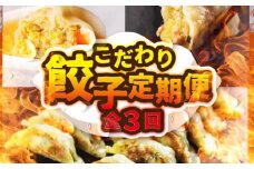 こだわり餃子定期便 全3回 定期便 餃子 おつまみ 晩酌 毎日の食事に 白米によくあう お弁当 業務用 期間限定 数量限定 愛知県 豊橋市 送料無料 3万円 焼き方レシピあり