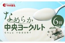 中央製乳 中央ヨーグルト2p 6個セット こだわり なめらか おやつ デザート 乳製品 乳酸菌 健康 腸活 ロングセラー 愛知県 豊橋市