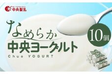 中央製乳 中央ヨーグルト2p 10個セット こだわり なめらか おやつ デザート 乳製品 乳酸菌 健康 腸活 ロングセラー 愛知県 豊橋市
