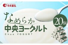中央製乳 中央ヨーグルト2p 20個セット こだわり なめらか おやつ デザート 乳製品 乳酸菌 健康 腸活 ロングセラー 愛知県 豊橋市