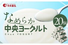 中央製乳 中央ヨーグルト2p 20個セット こだわり なめらか おやつ デザート 乳製品 乳酸菌 健康 腸活 ロングセラー 愛知県 豊橋市
