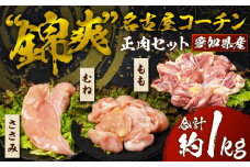名古屋コーチン 正肉セット 800g 国産 もも むね ささみ 鶏肉 鳥肉 約 1kg 1キロ モモ ムネ もも肉 むね肉 ささみ とりささみ ブランド鶏 地鶏 ブランド地鶏 とりもも とりむね 錦爽鶏 愛知県 豊橋市 肉 お肉 冷蔵 1万円 10000円 愛知県 豊橋市