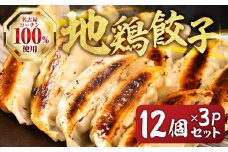 名古屋コーチン餃子 36個 (12個入×3パック) 冷凍餃子 こだわり餃子 おススメ 美味しい 餃子 ぎょうざ ギョウザ ギョーザ 惣菜 冷凍 名古屋コーチン 地鶏 ブランド地鶏 冷凍食品 セット 国産 国産素材 詰め合わせ 愛知県 豊橋市