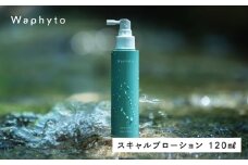 Waphyto スキャルプローション 120ml ワフィト