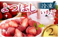 冷凍いちご よつぼし 苺 2kg 冷凍 国産 豊橋産 真空パック 甘い ヘルシー 健康 おやつ おいしい デザート 手軽 ヨーグルト や シリアル に アイスに添えて ビタミンC ポリフェノール 抗酸化 豊橋市 小分け