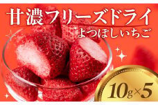 フリーズドライいちご よつぼし 苺 国産 豊橋産 甘い ヘルシー 健康 おやつ おいしい デザート 手軽 ヨーグルト や シリアル に アイスに添えて ビタミンC ポリフェノール 抗酸化 豊橋市 小分け 製菓 プチギフト プレゼント