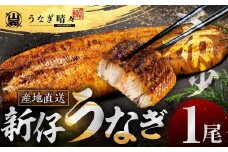 山義養魚の『うなぎ晴々』 1尾 希少  豊橋うなぎ 蒲焼 厳選 国産 新仔うなぎ 若うなぎ 鰻 簡易包装 ウナギ うなぎ 鰻 蒲焼 ギフト ひつまぶし 土用丑の日 ギフト 冷凍  丑の日 簡単調理 豊橋うなぎ お取り寄せ 送料無料