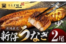 山義養魚の『うなぎ晴々』 2尾 希少  豊橋うなぎ 蒲焼 厳選 国産 新仔うなぎ 若うなぎ 鰻 簡易包装 ウナギ うなぎ 鰻 蒲焼 ギフト ひつまぶし 土用丑の日 ギフト 冷凍  丑の日 簡単調理 豊橋うなぎ お取り寄せ 送料無料