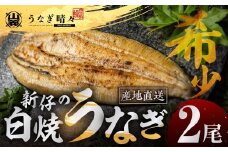 山義養魚の『うなぎ晴々』 白焼 2尾 希少 豊橋うなぎ 厳選 国産 新仔うなぎ 若うなぎ 鰻 簡易包装 ウナギ 鰻 ギフト 土用丑の日 ギフト 冷凍 お取り寄せ 送料無料 日本酒と わさび 山椒 塩 大人 贅沢