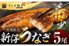 山義養魚の『うなぎ晴々』 5尾 希少  豊橋うなぎ 蒲焼 厳選 国産 新仔うなぎ 若うなぎ 鰻 簡易包装 ウナギ うなぎ 鰻 蒲焼 ギフト ひつまぶし 土用丑の日 ギフト 冷凍  丑の日 簡単調理 豊橋うなぎ お取り寄せ 送料無料