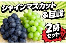 《8月発送》シャインマスカット 巨峰 贅沢食べ比べセット 