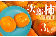 ≪先行予約≫ 生産量日本一 愛知県豊橋産 次郎柿 ご自宅用 3kg 柿 訳あり 不揃い 甘柿 果物 フルーツ 10月 11月 愛知県 豊橋市 ビタミンC 高栄養価 食物繊維 旬をおとどけ