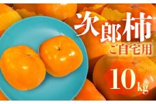 ≪先行予約≫ 生産量日本一 愛知県豊橋産 次郎柿 ご自宅用 10kg 柿 訳あり 不揃い 甘柿 果物 フルーツ 10月 11月 愛知県 豊橋市 ビタミンC 高栄養価 食物繊維 旬をおとどけ